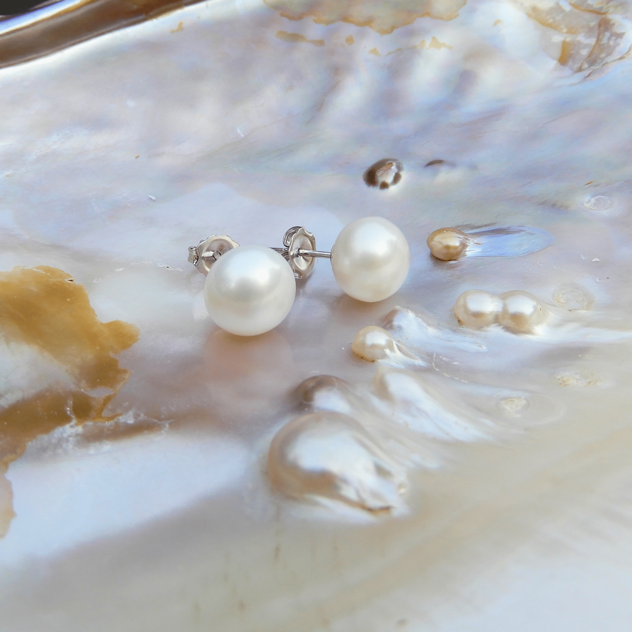 Parel oorstekers wit 10mm - Gloria Maris Giethoorn