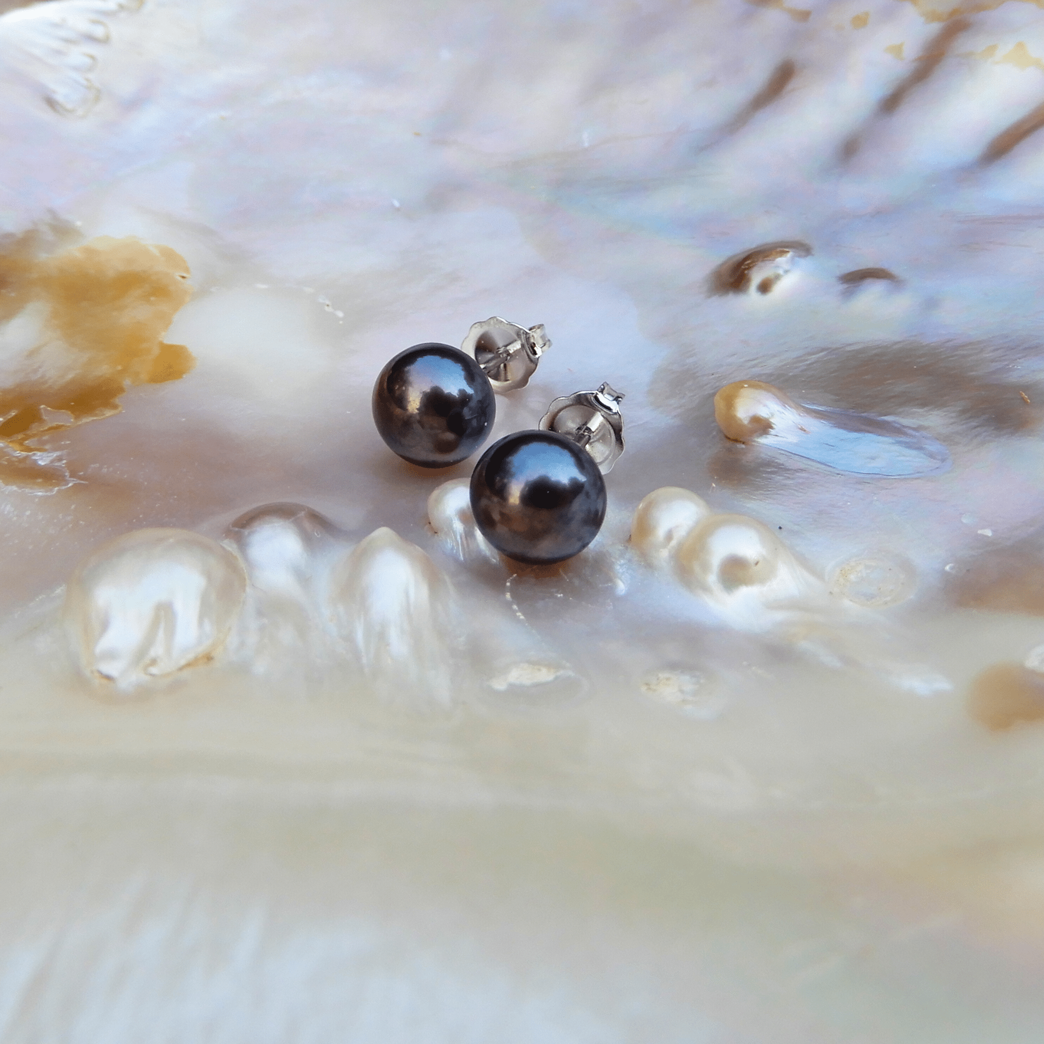 Parel oorstekers grijs 6,5mm - Gloria Maris Giethoorn