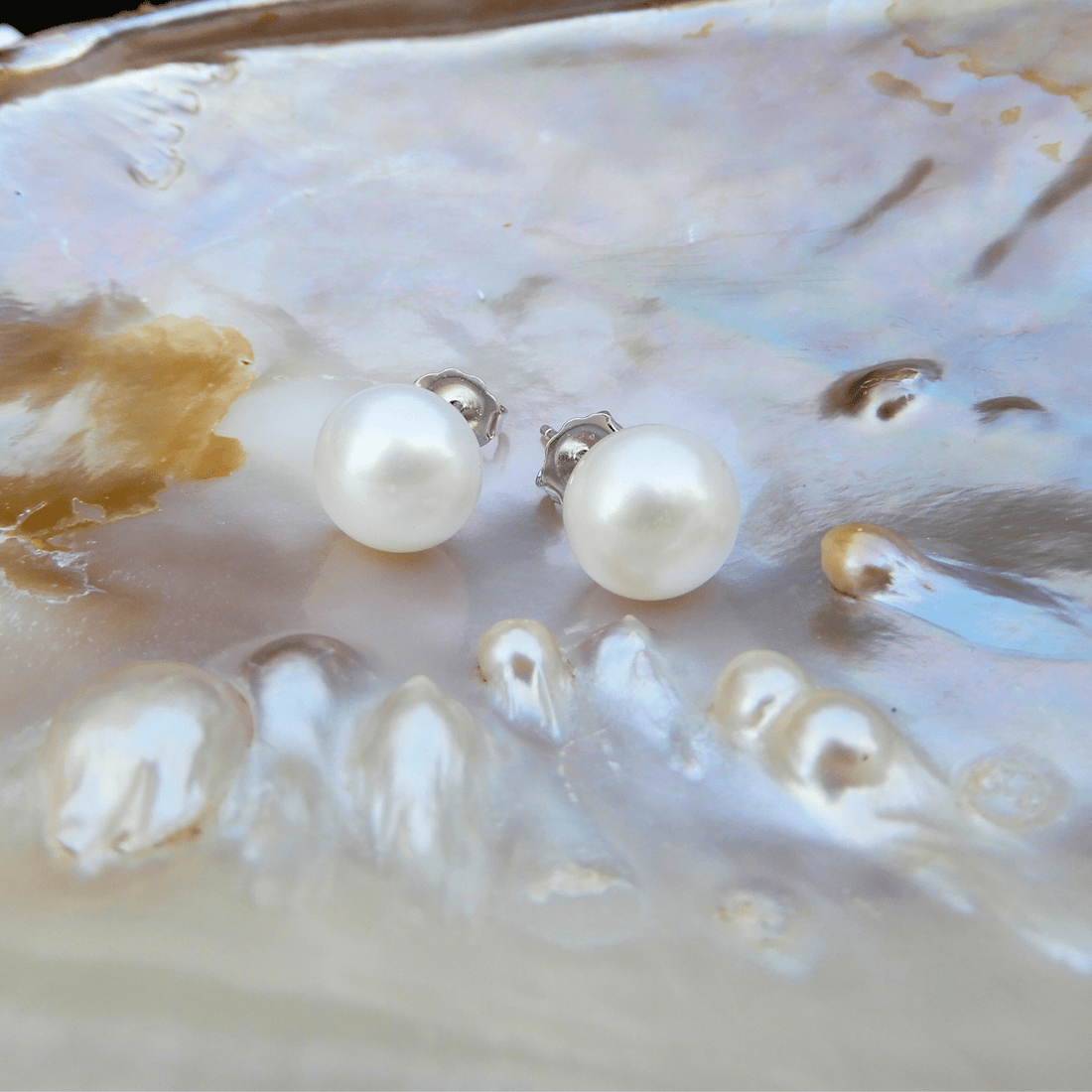 Parel oorstekers wit 10mm - Gloria Maris Giethoorn