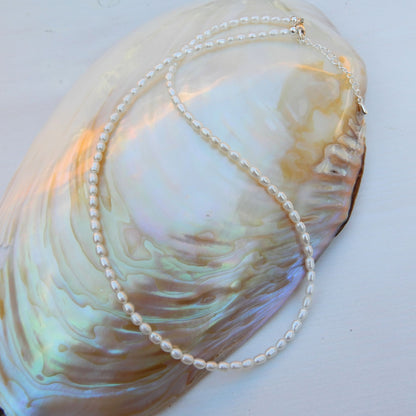 Collier van zoetwater parel in rijst vorm 2,5-3mm.