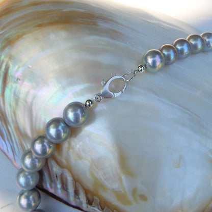 Oplopend grijs zoetwater parel collier met sterling zilver slot.